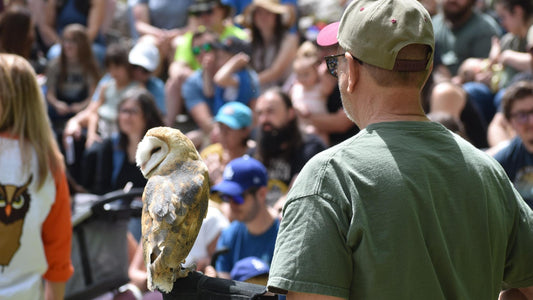 The Role of Wildlife Education in Conservation