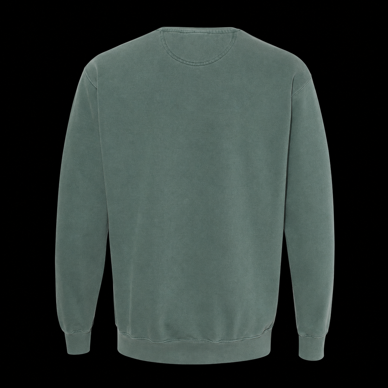 Natural Encounters Sweatshirt Back View